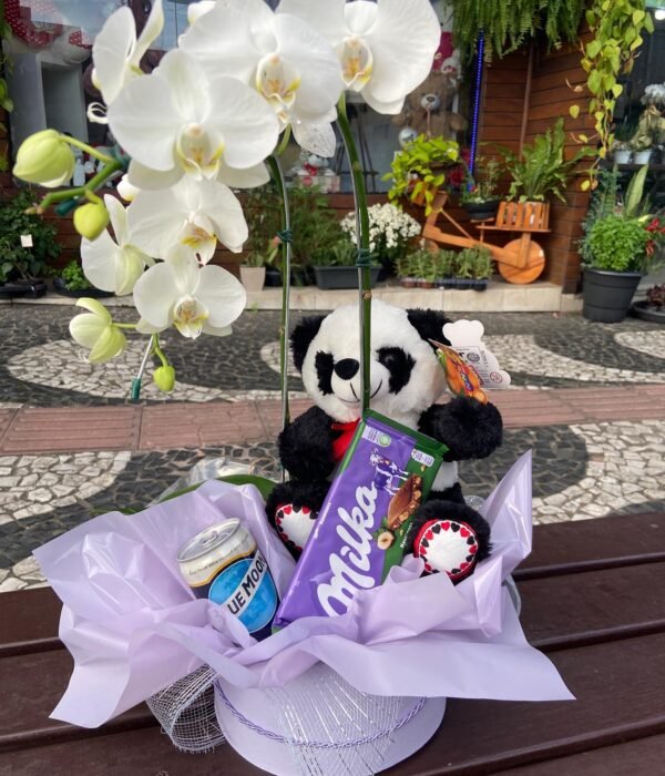 Box de Orquídea com Blue Moon e Milka