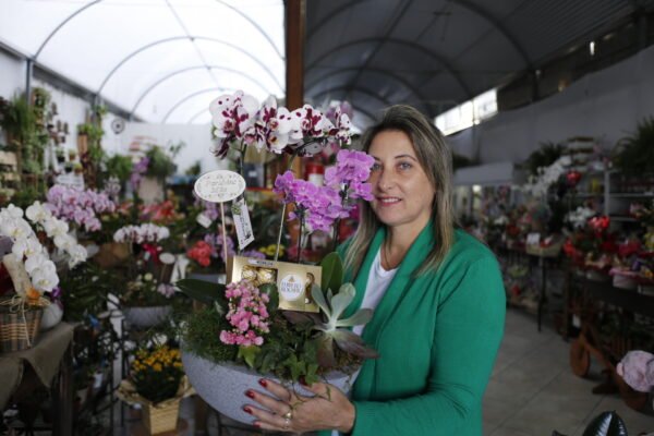 Jardim de Orquídeas - Image 2