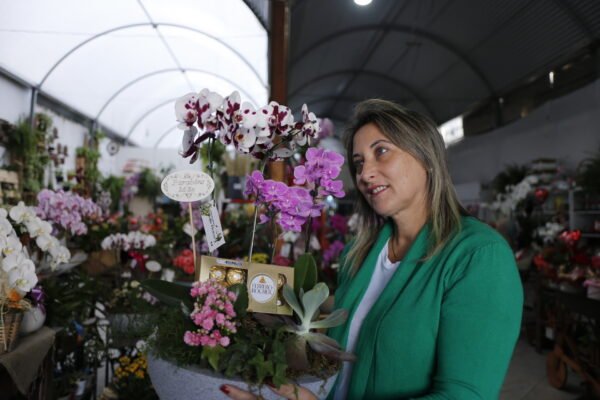 Jardim de Orquídeas - Image 3