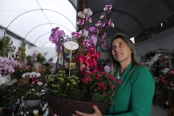 Jardim de Orquídeas - Image 4