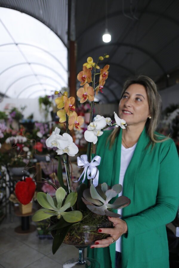 Jardim de Orquídeas