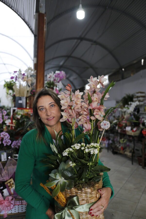 Cymbidium