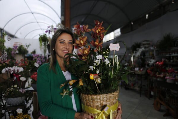 Cymbidium - Image 4